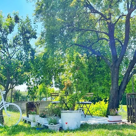 Apartamento Lady Lavender House *