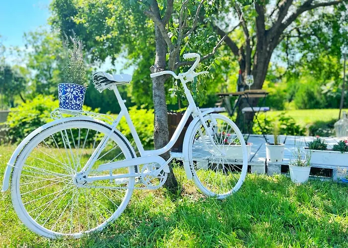 Lady Lavender House 巴拉顿菲赖德