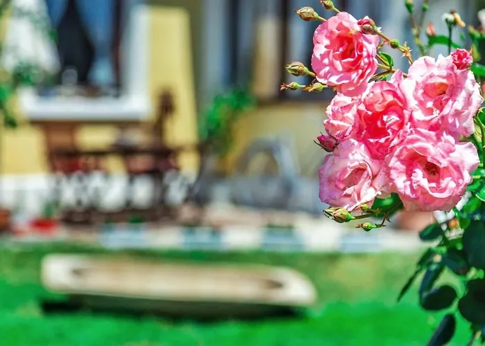 Lady Lavender House 公寓
